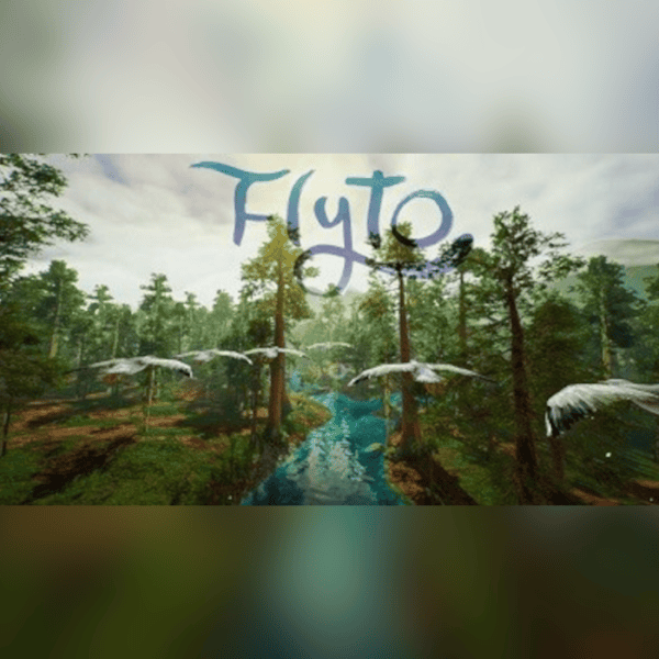 Flyto Epic Games CD Key