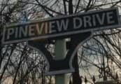 Pineview Drive Steam CD Key